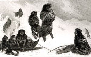 Fuegians jdoucí obchodovat v Zapallos s Patagonians, vyrytý T.Lanseer 1838 od Robert Fitzroy